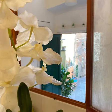 La Di - Art - Ac&wifi - Vernazzarentals